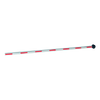 AUTOMATIC SYSTEMS® BL229 Degondable Pole for Barrier (3 meters) [E/0696/089]