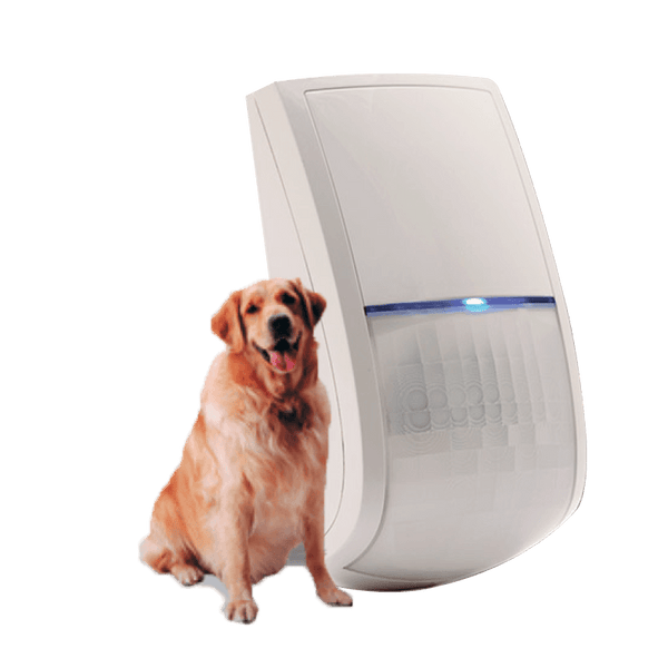 RISCO™ DT BWare™ Wireless (12 m) Anti-Pets Motion Detector - G2 [RWX515DTP80A]