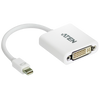 ATEN™ Mini DisplayPort to DVI Adapter [VC960-AT]